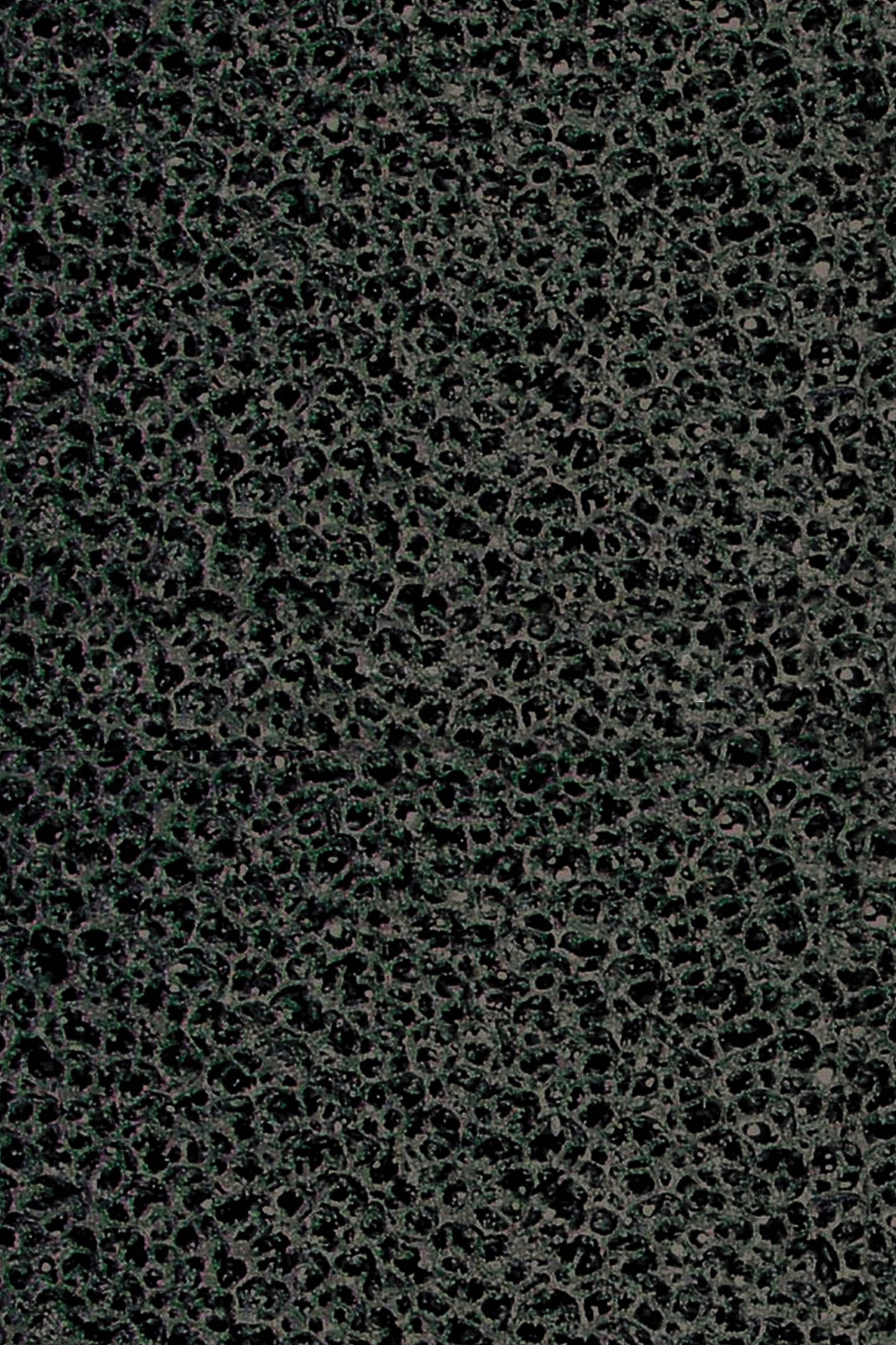 Eheim - 2630010 Esponja Carbon Press7000/10000