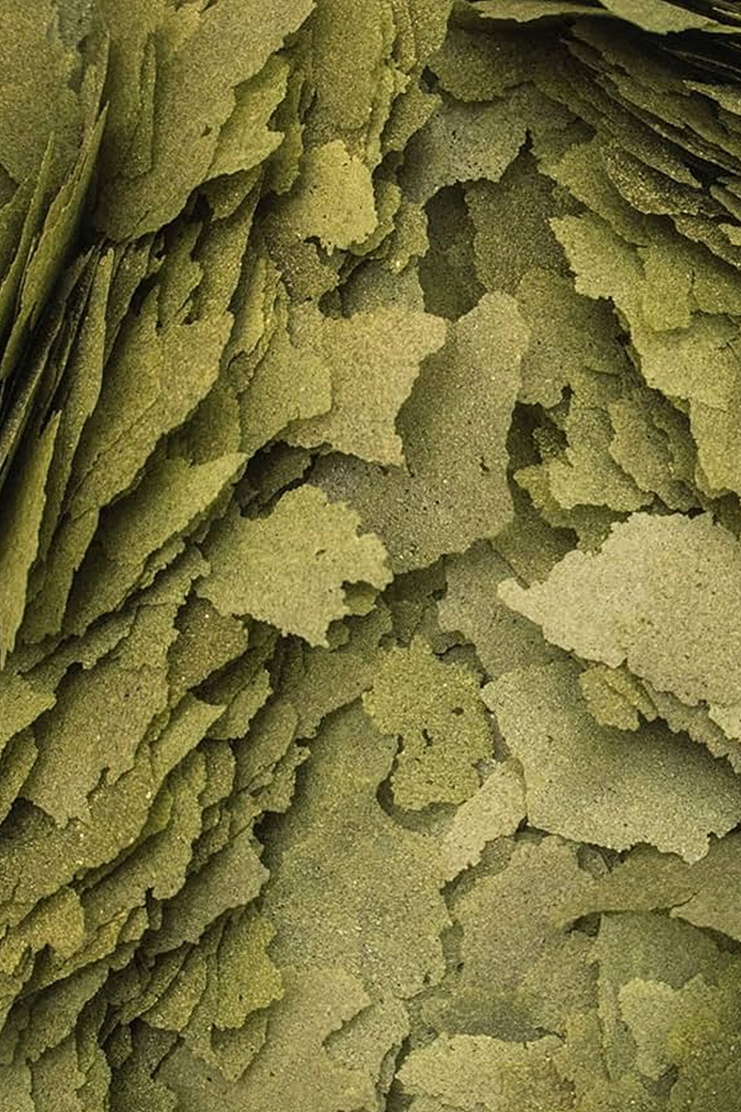 Tropical - 3-Algae Flakes 21L / 4kg