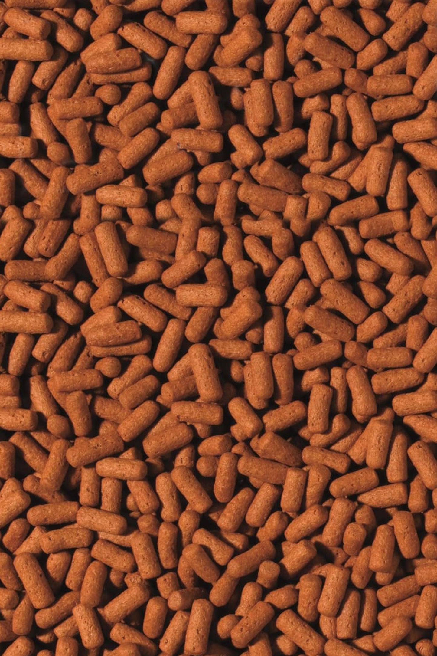 Tropical - Cichlid & Arowana Sticks L 10 L