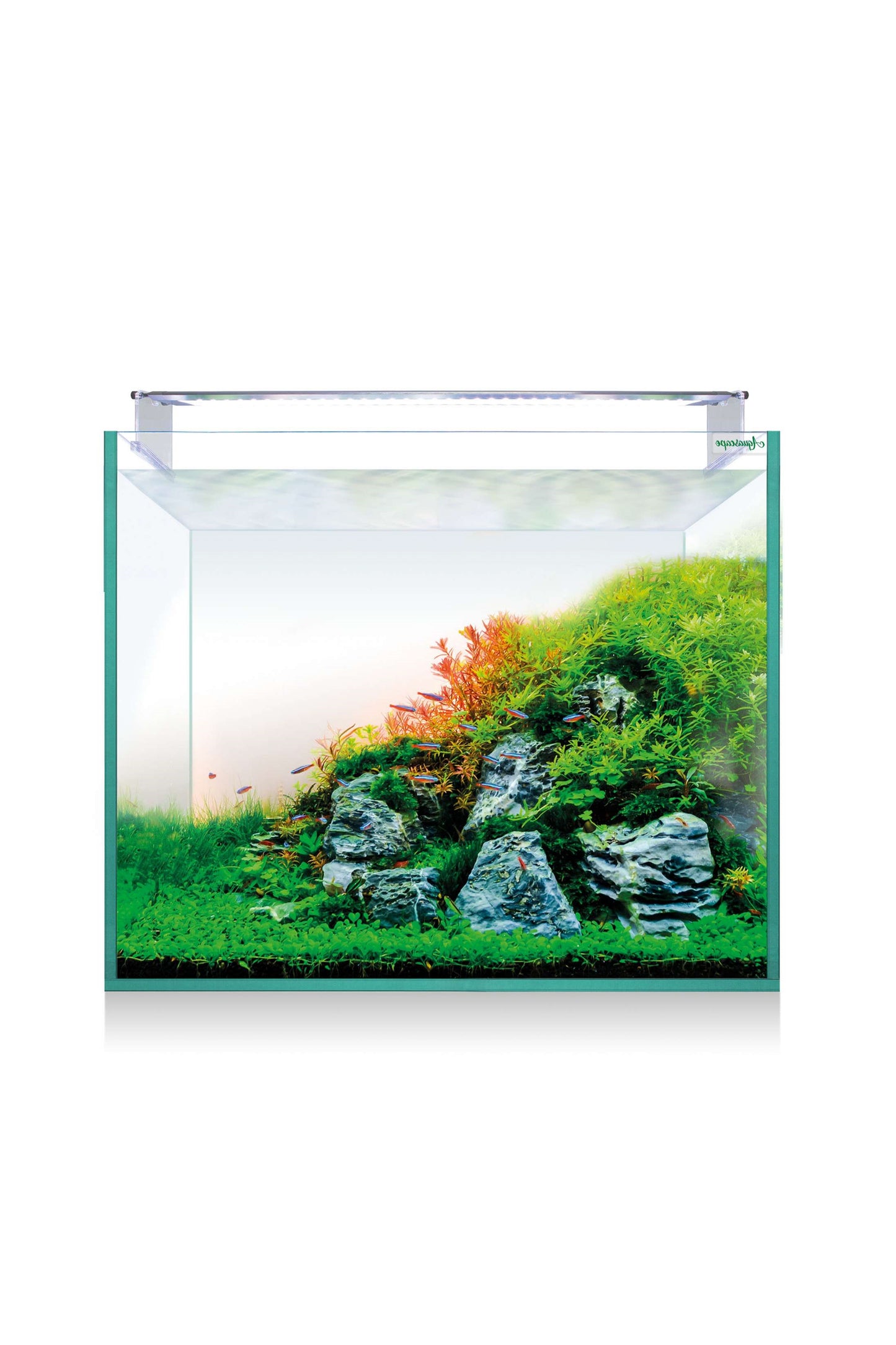 Acuario Kit AquaScape RGB PRO Extra Claro 150 de 136 litros