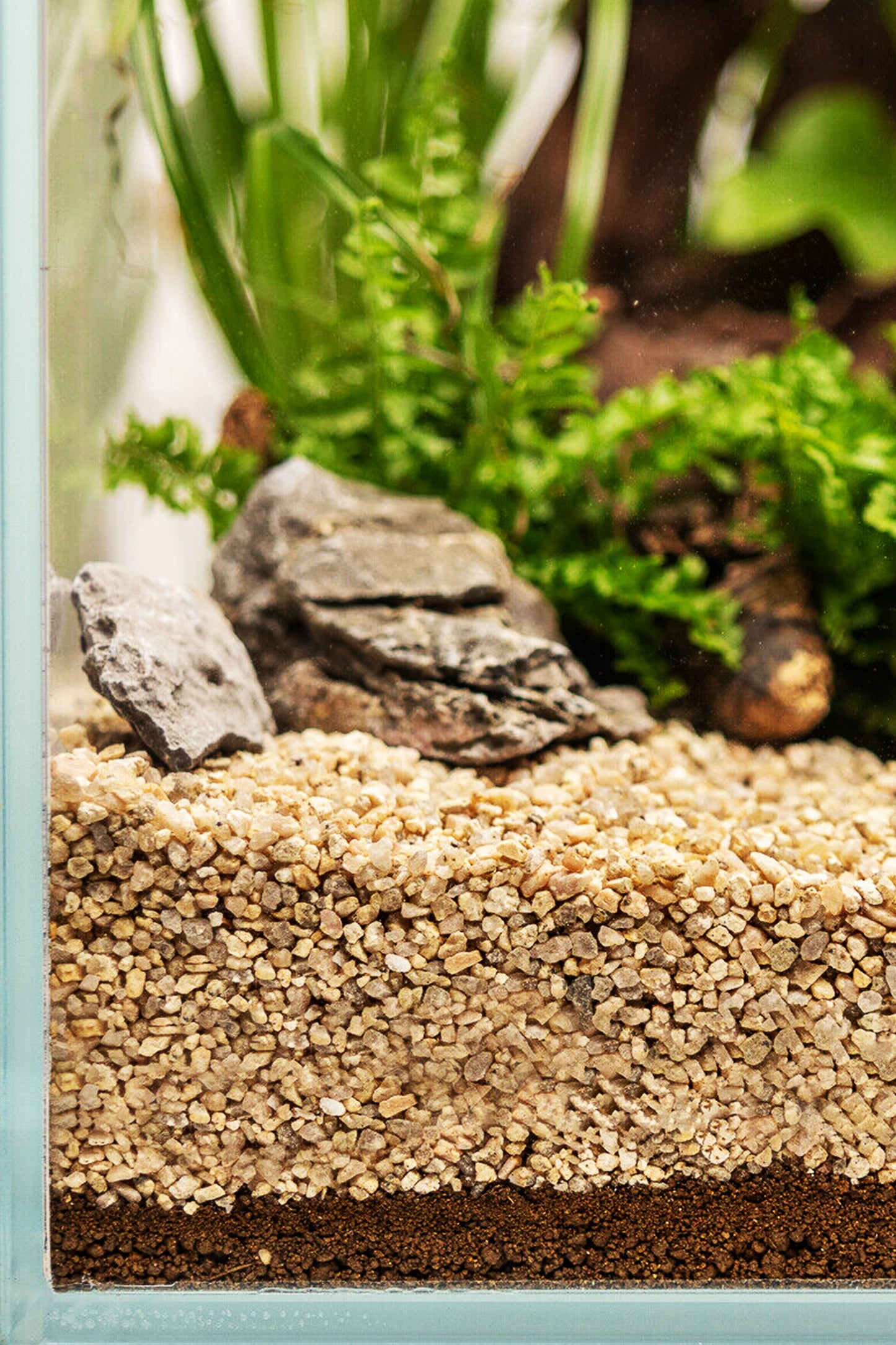 Dennerle Plants Substrate - 2,5 litros