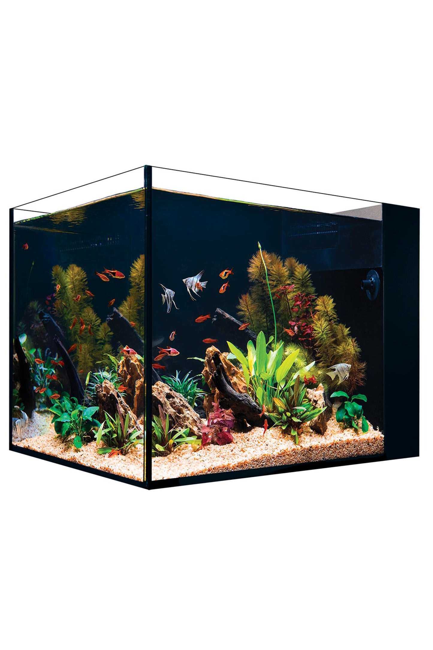 Nano Desktop Península (No Incluye Luz, Mesa ni Skimmer) de 90 litros