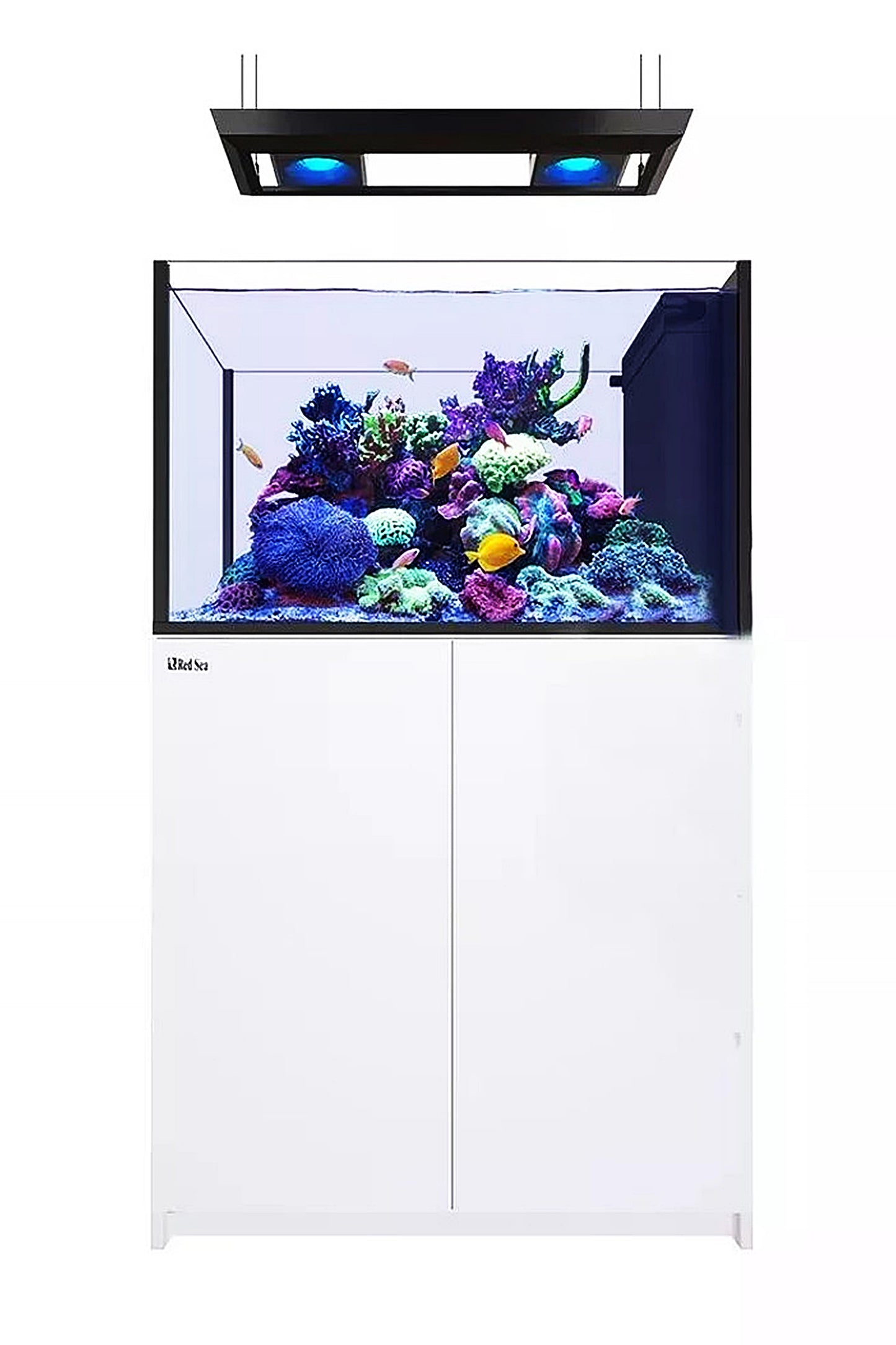 Acuario REEFER™ Península 350 Blanco 2 x Reef Led 90W SOPORTE TECHO LED ReefClean300