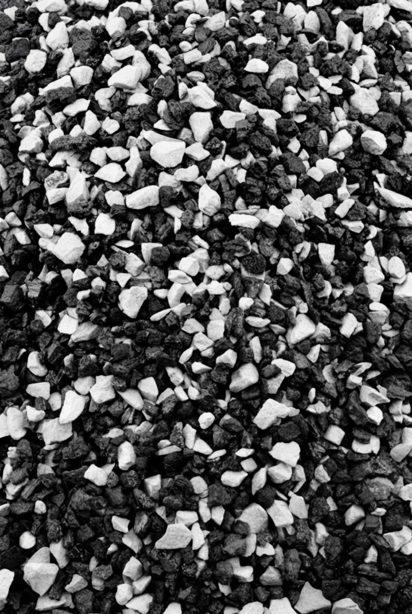 Material filtrante para filtro Fluval AC50 Zeo-Carbón 1 ud.