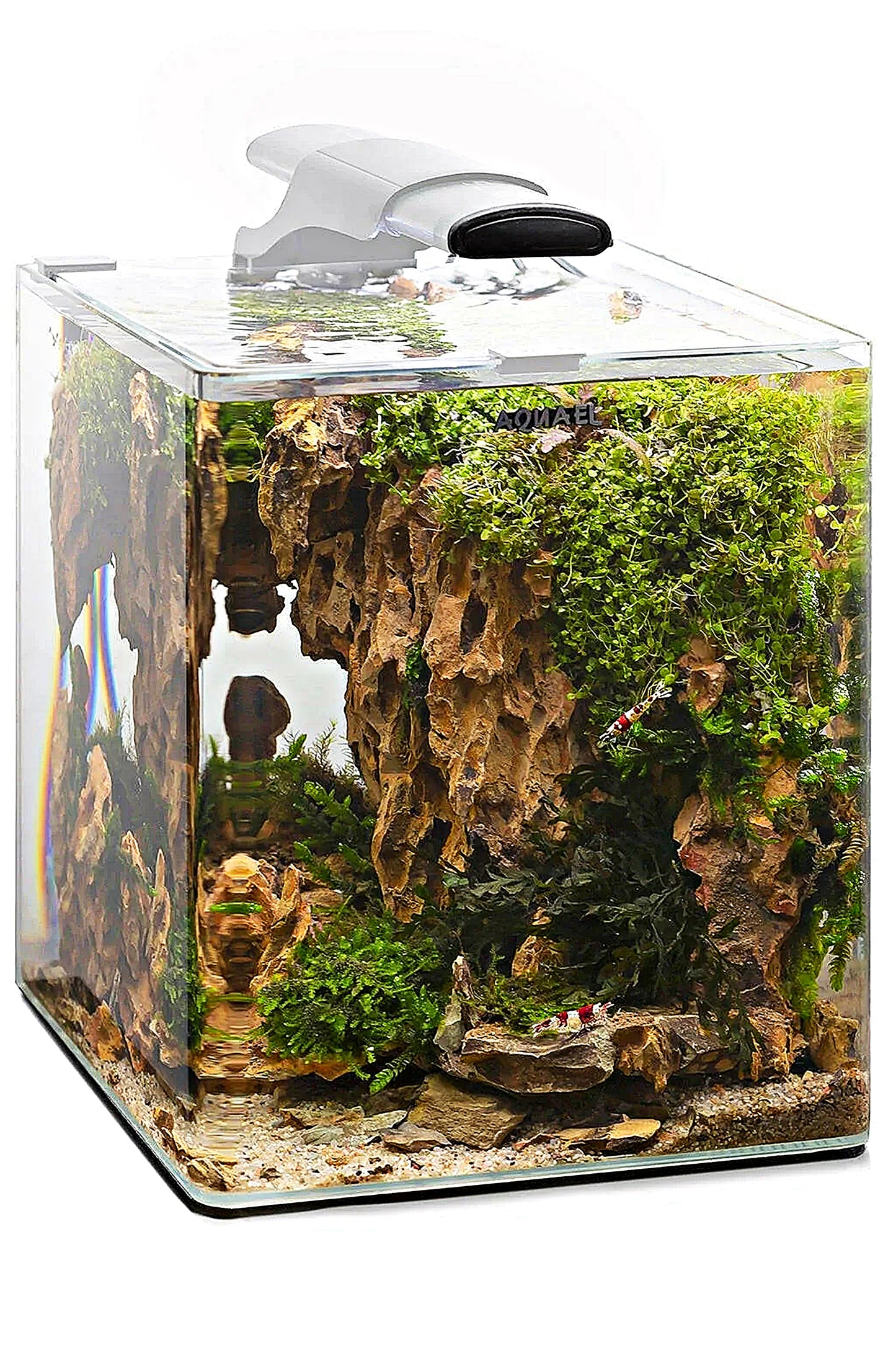 AQUAEL - Iluminación LEDDY SLIM DUO Sunny Plant & Night 10W (Blanca)