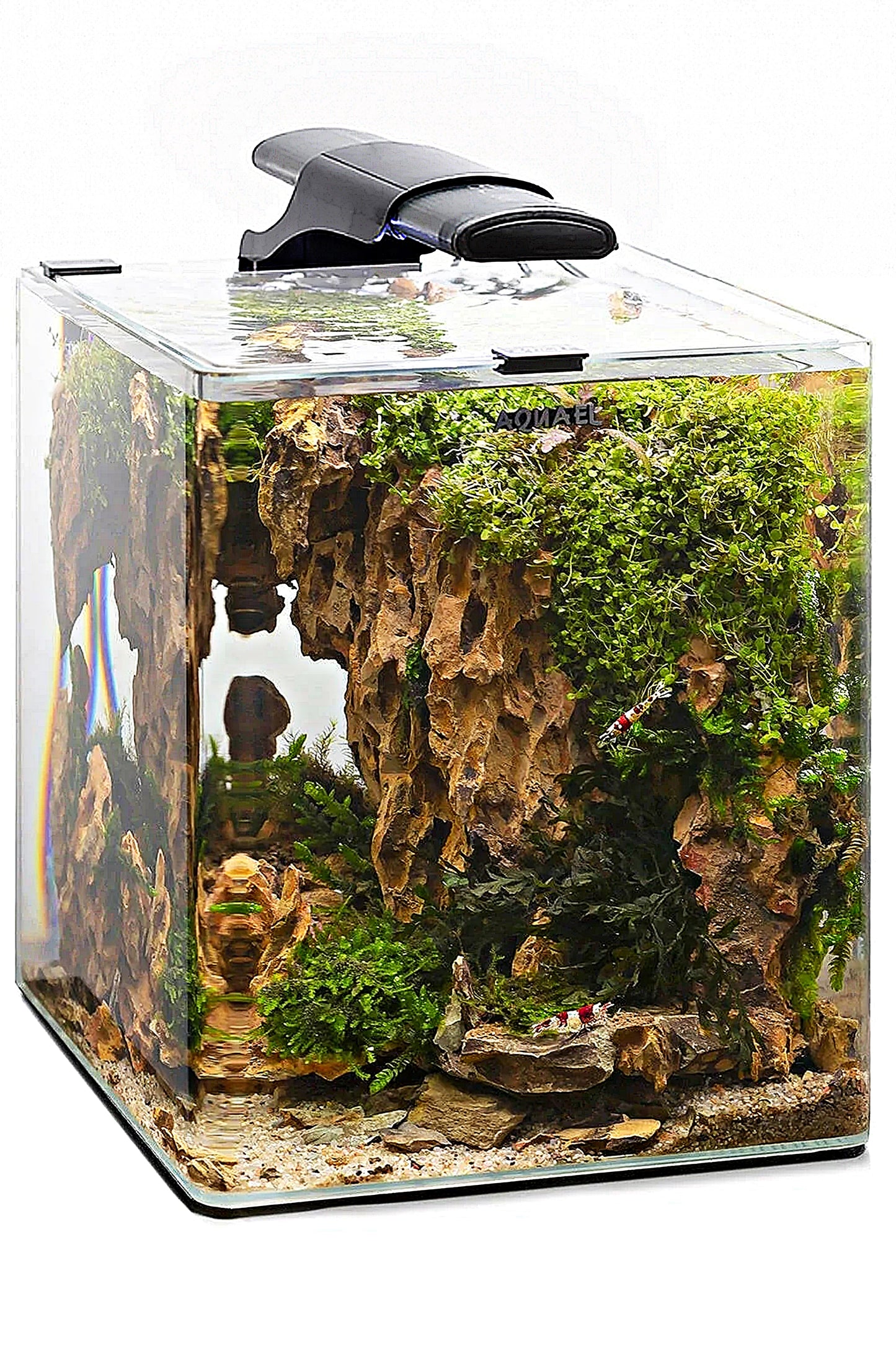 BONSAQUA - Dragon Rock 1 kg. (10-50Cm.)