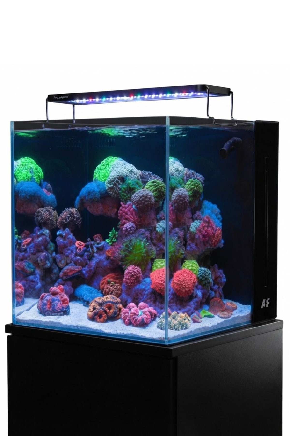 Acuario Marino Aquaforest NANO TANK de 91 litros