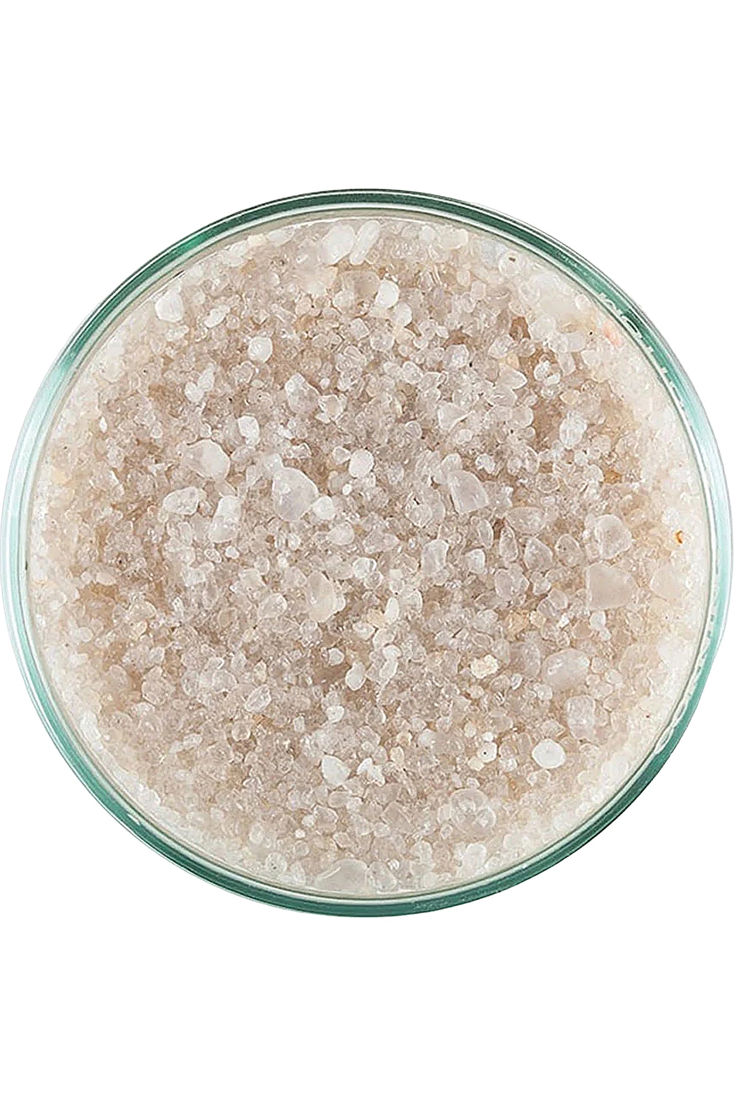 CARIBSEA - INSTANT AQUARIUM™ - Arena viva - Crystal River 4,54 kg