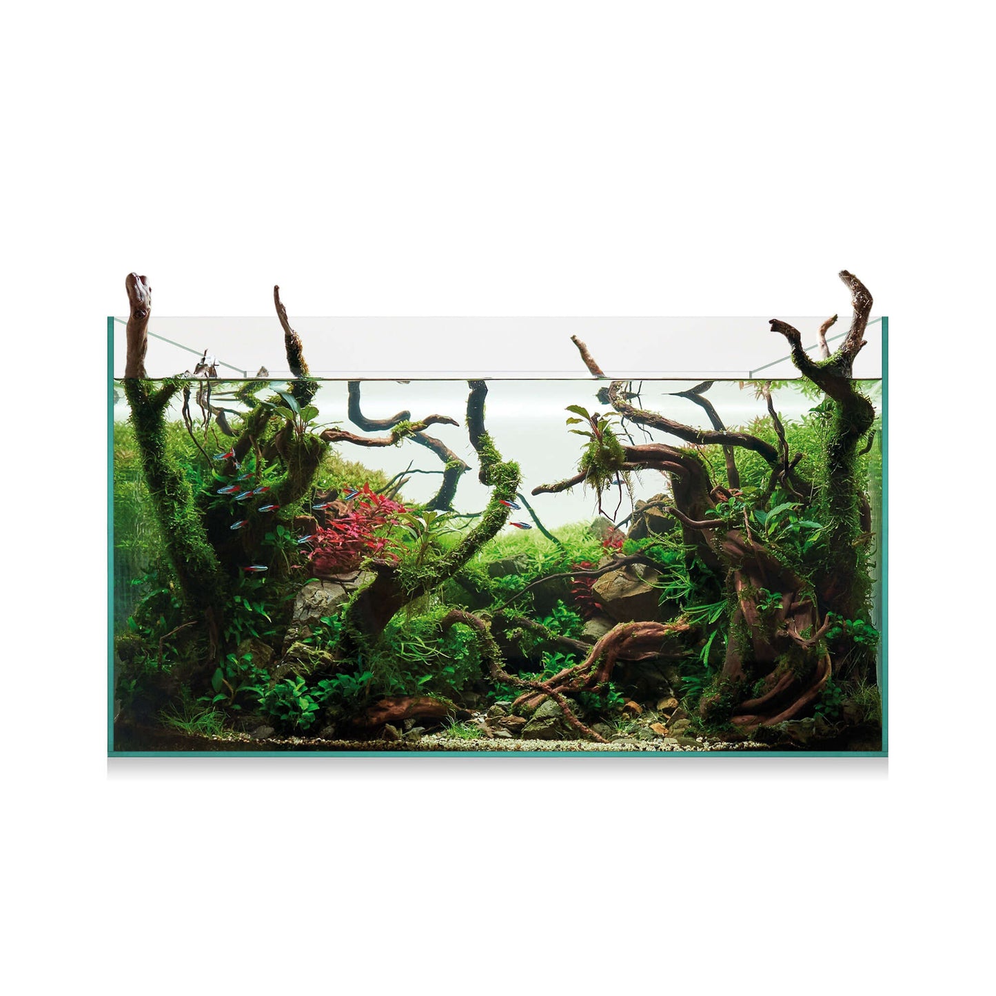 AquaScape 145 - Urna de cristal óptico de 143 litros