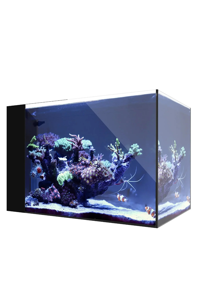 WATERBOX - Nuevo Acuario AIO 25 PENINSULA de 90 litros