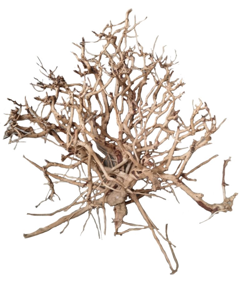 BONSAQUA - Satung Wood (Precio kg.)