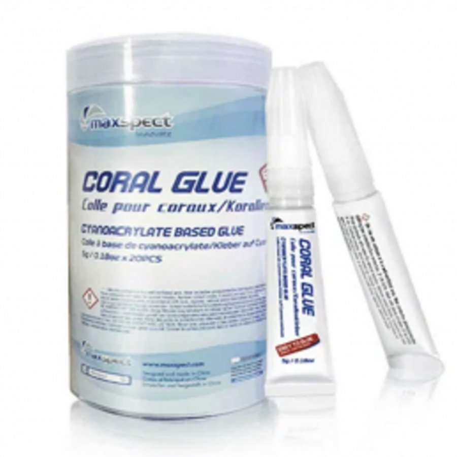 MAXSPECT - Coral Glue Stick 5G (20 U. Por Bote)