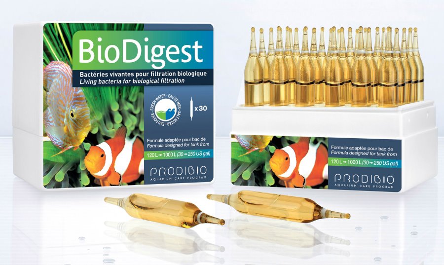 PRODIBIO - BIO Digest 30 Amp