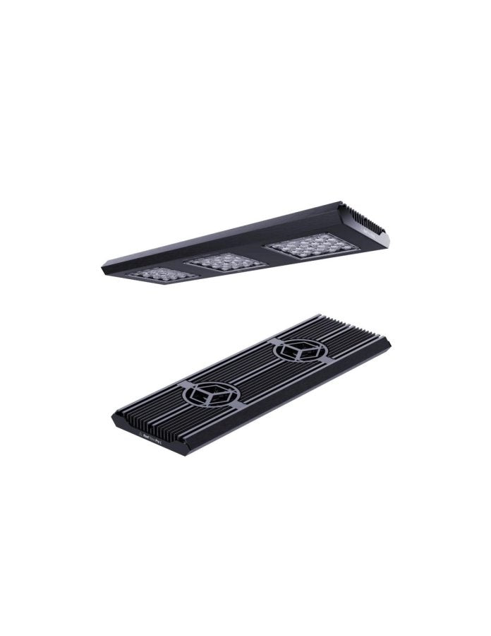 REEF FLARE - Reef Flare PRO "L" (Negra) - New Model