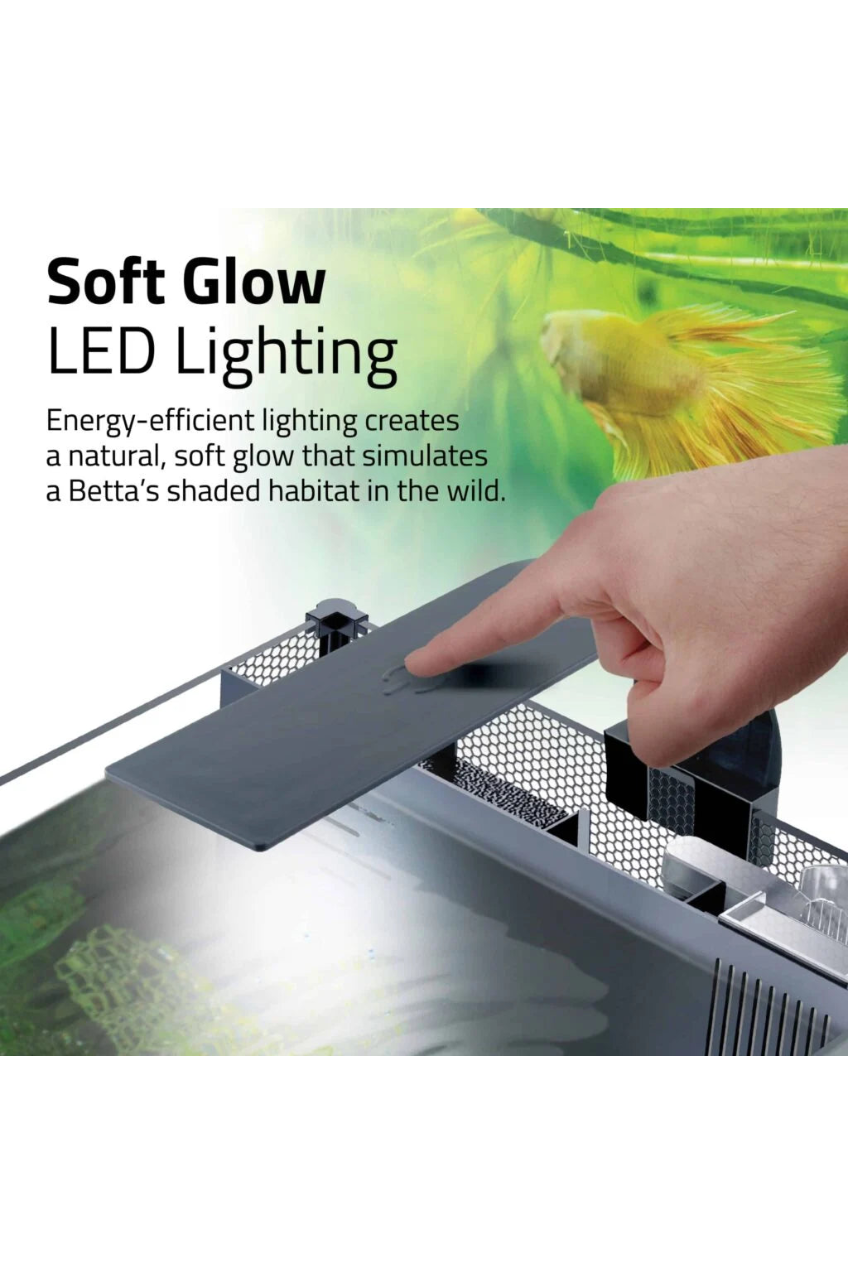 Fluval Betta Aquarium Kit de 20 litros