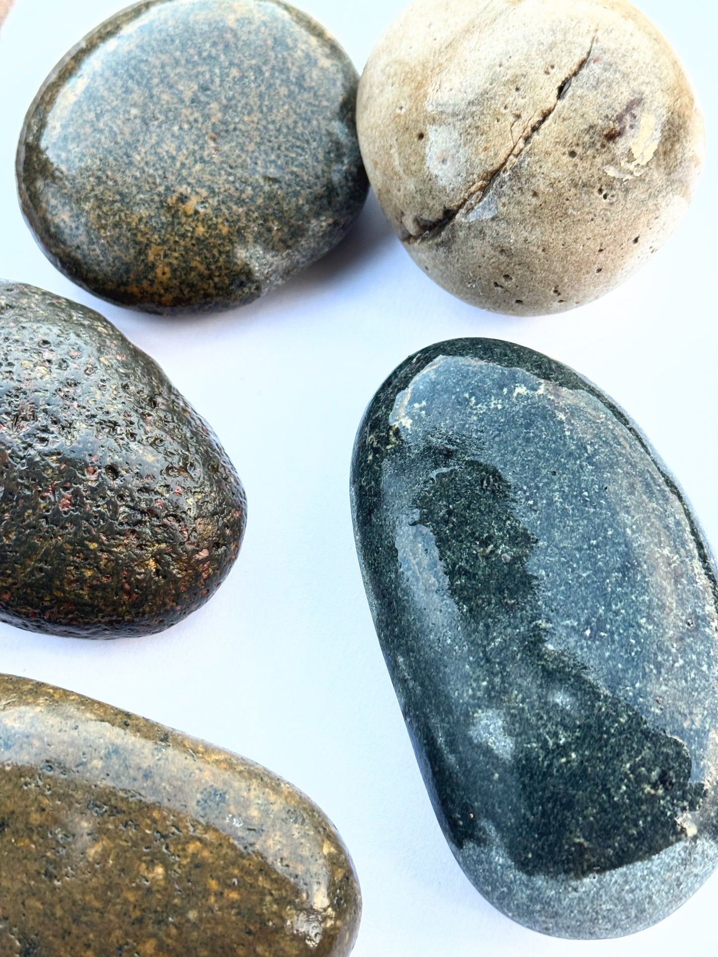 BONSAQUA - Mixed River Pebbles 1 kg. (5-10 Cm.)