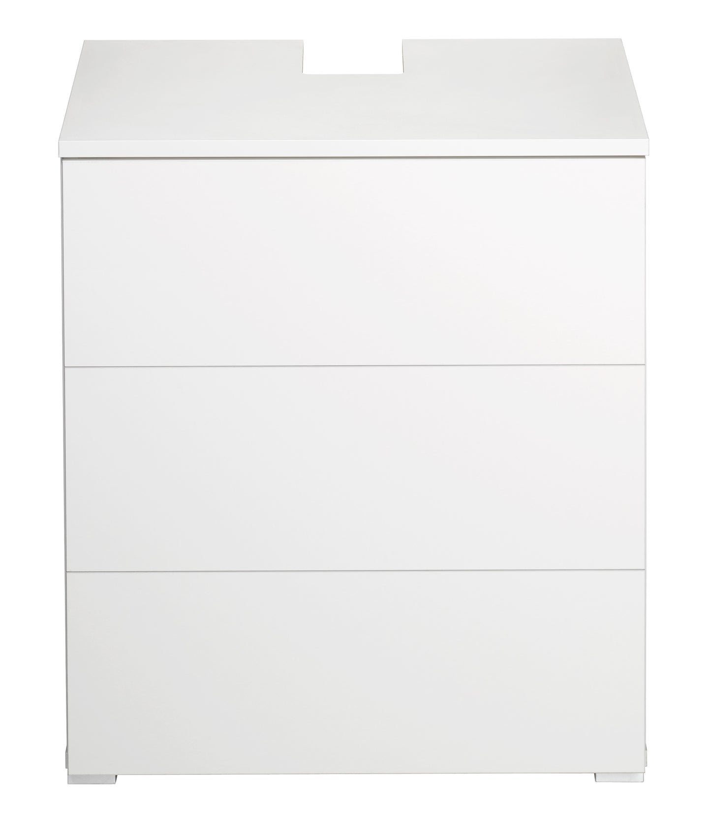 Acuario paludario EHEIM PROXIMA Fauna