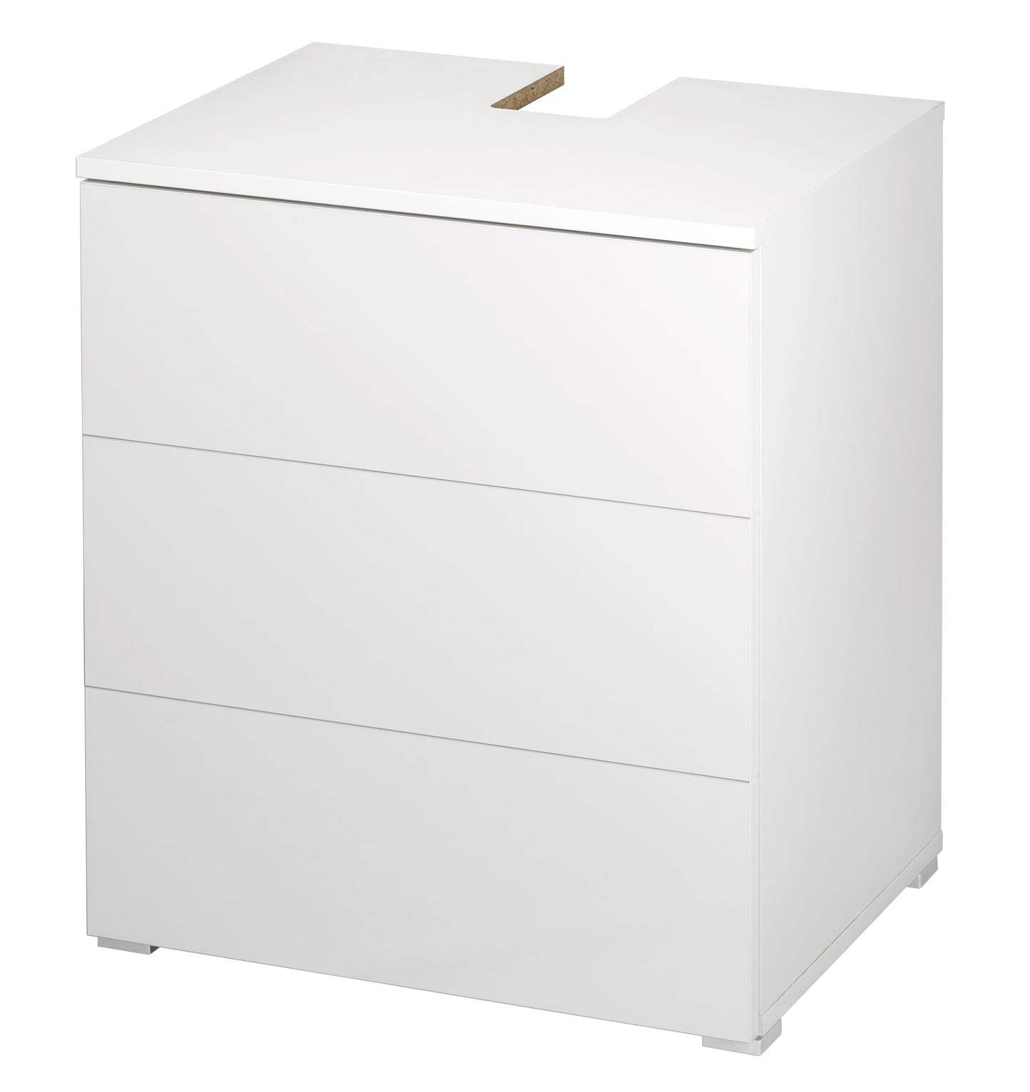 Acuario paludario EHEIM PROXIMA Fauna