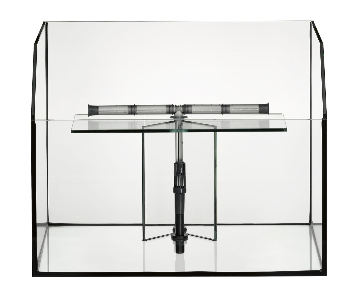 Acuario paludario EHEIM PROXIMA Fauna