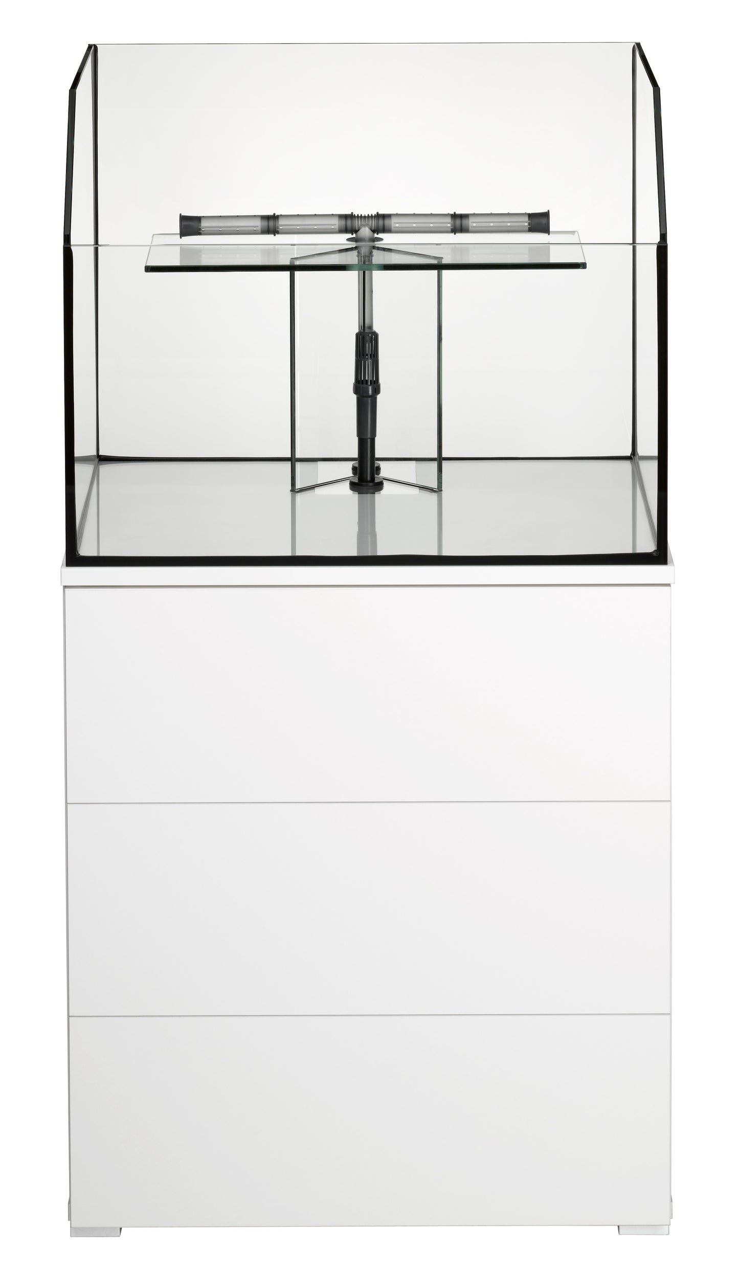 Acuario paludario EHEIM PROXIMA Fauna