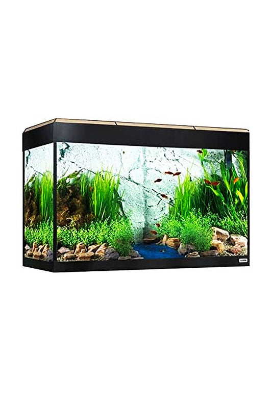 Roma LED Bluetooth Aquarium 125 Liter – Eiche