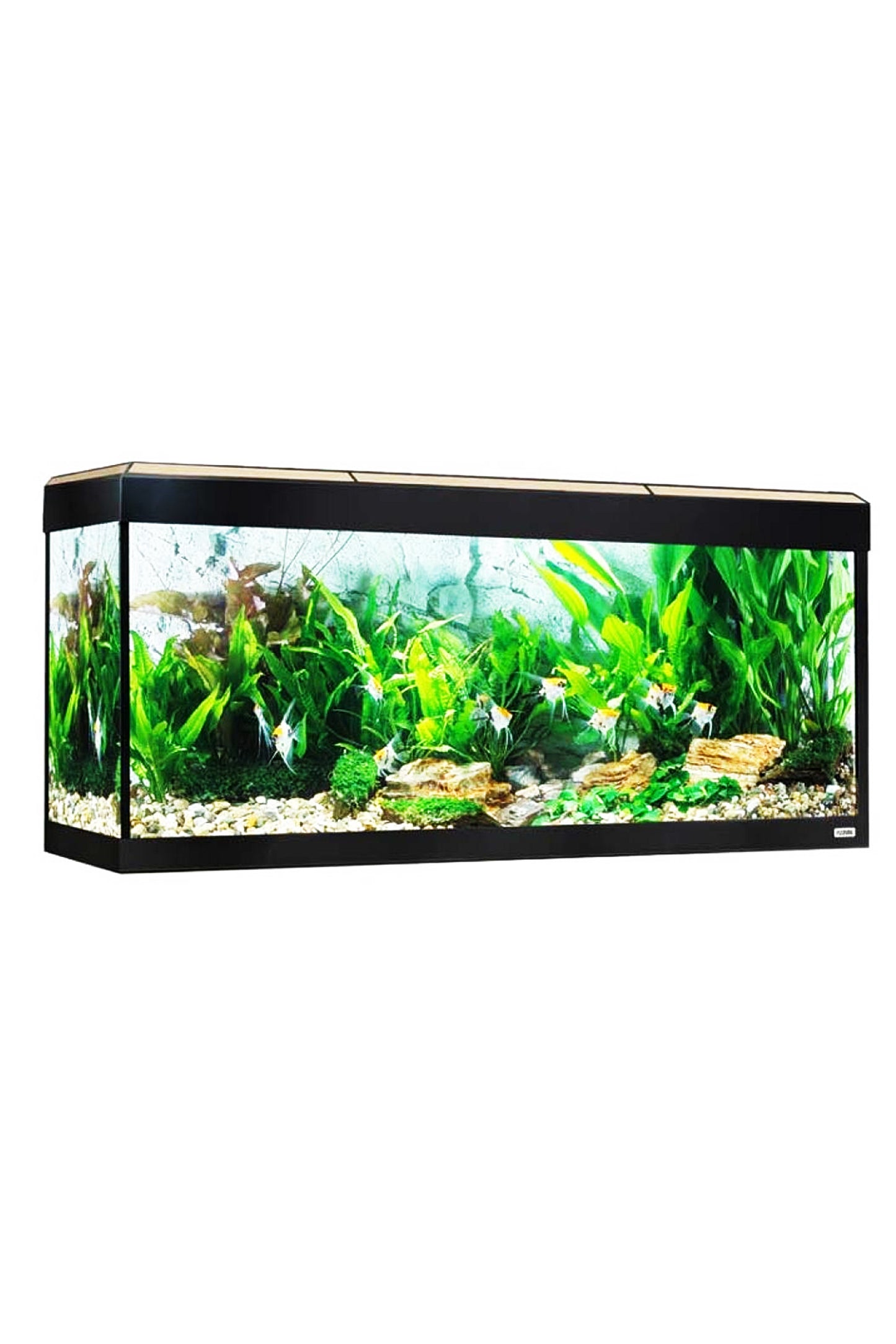 Roma LED Bluetooth Aquarium 200 Liter – Eiche