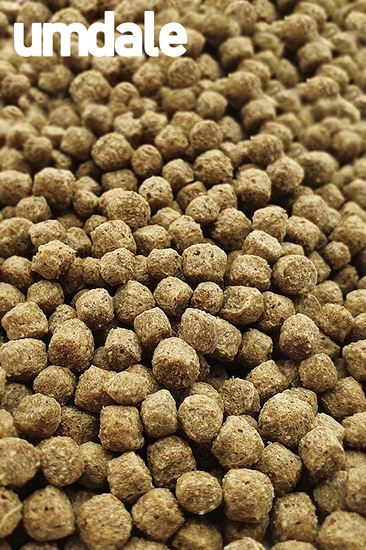 Fluval - Pellets de água fria para picadas de insetos, 100G