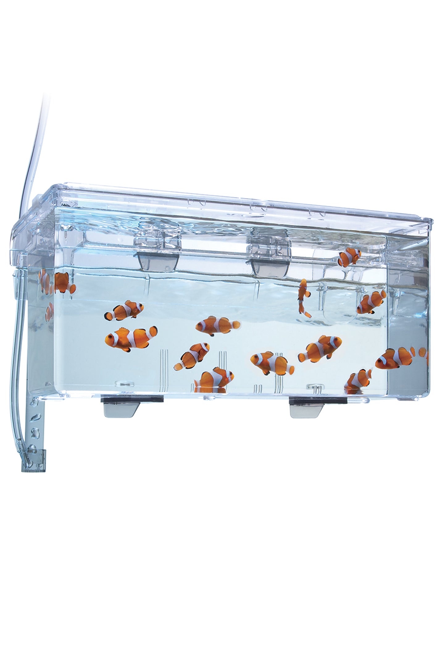 Fluval - Zuchtbox L, 2L