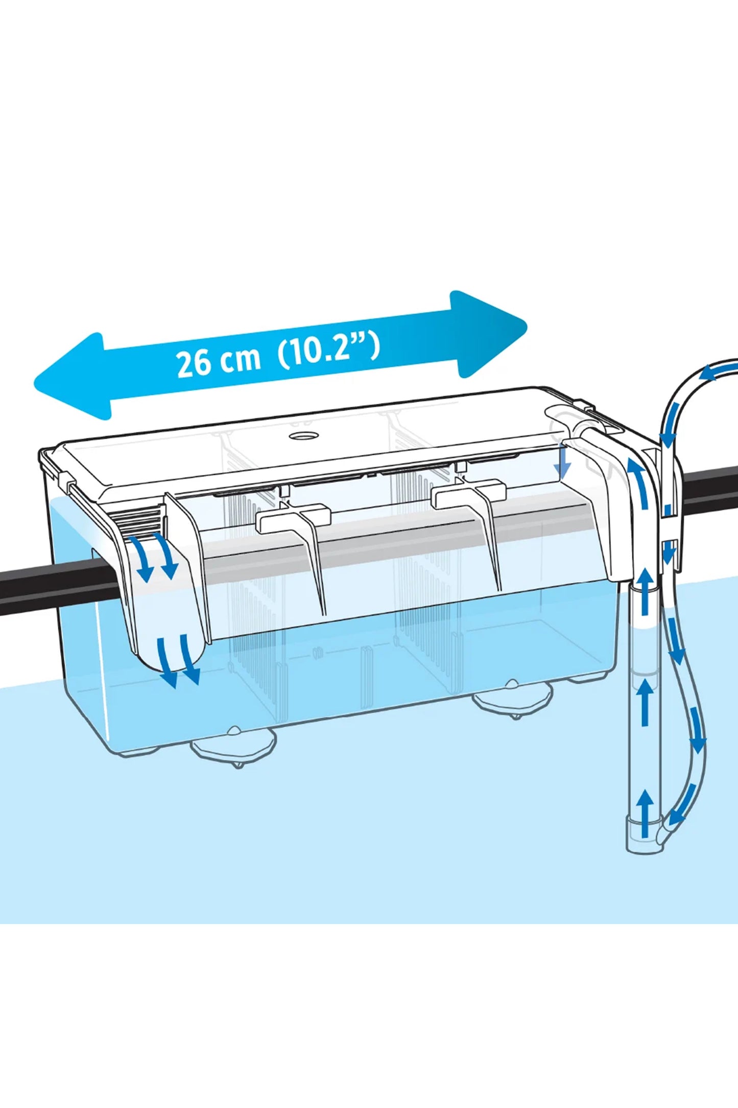 Fluval - Zuchtbox L, 2L