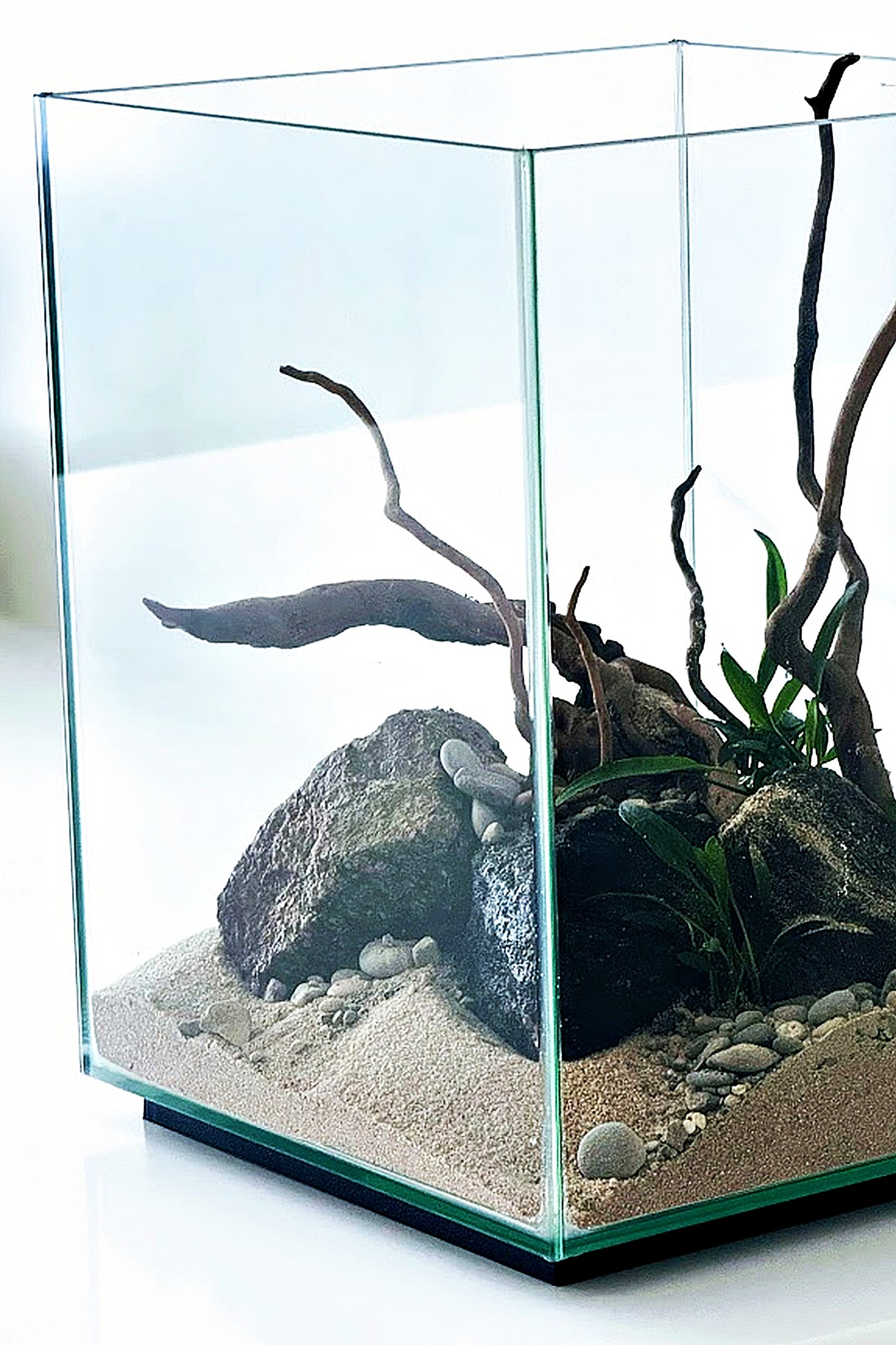Nano Acuario FLUVAL CHI de 19 litros