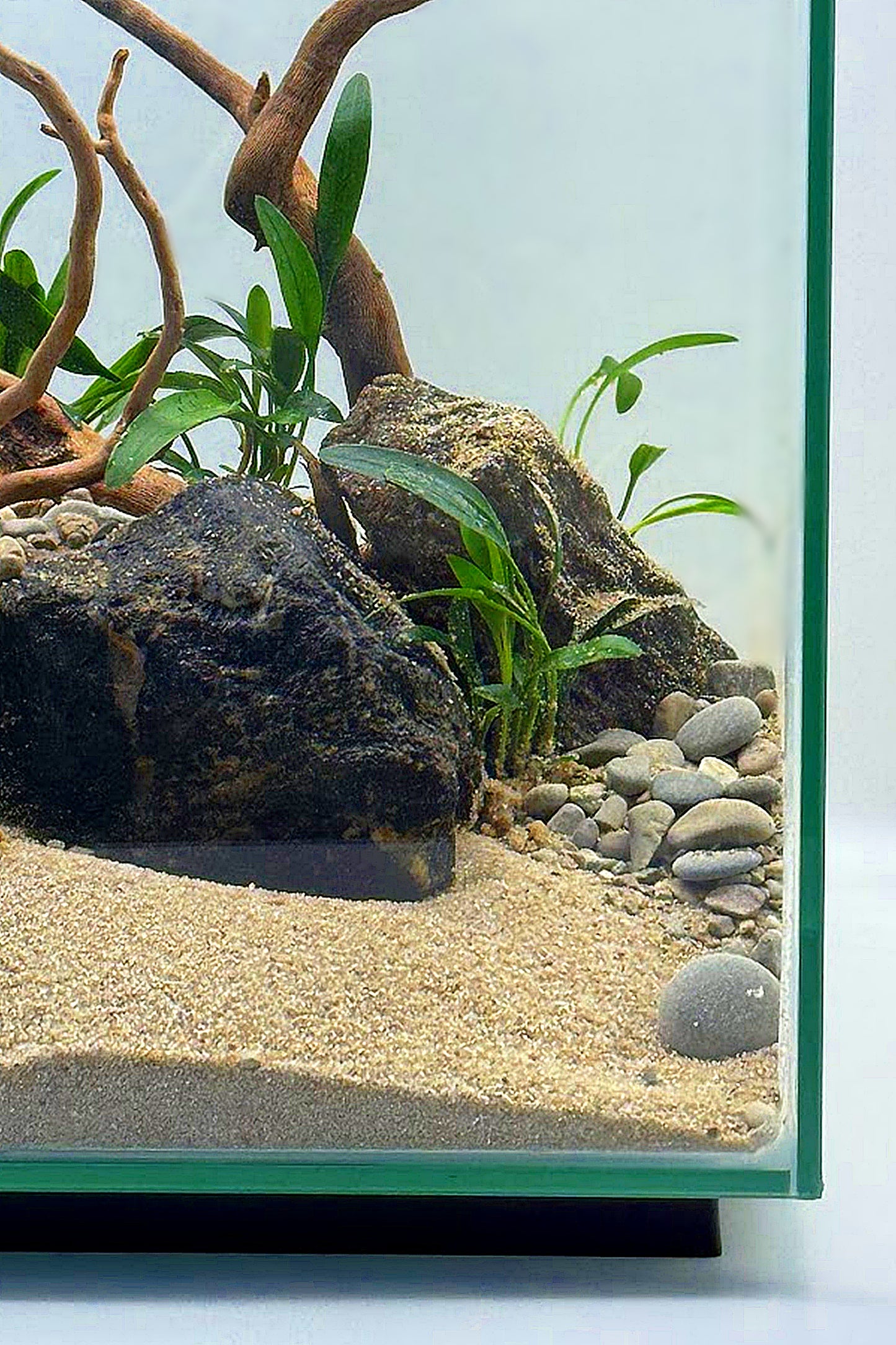 Nano Acuario FLUVAL CHI de 19 litros