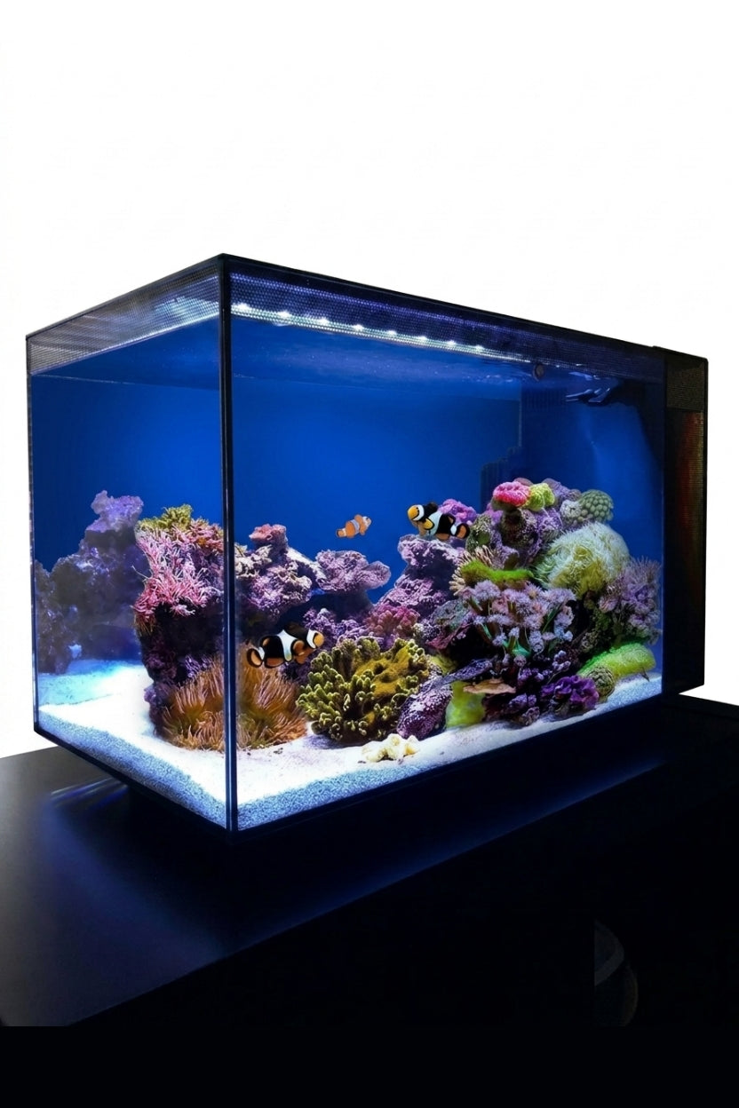 Acuario Marino FLUVAL EVO de 52 litros