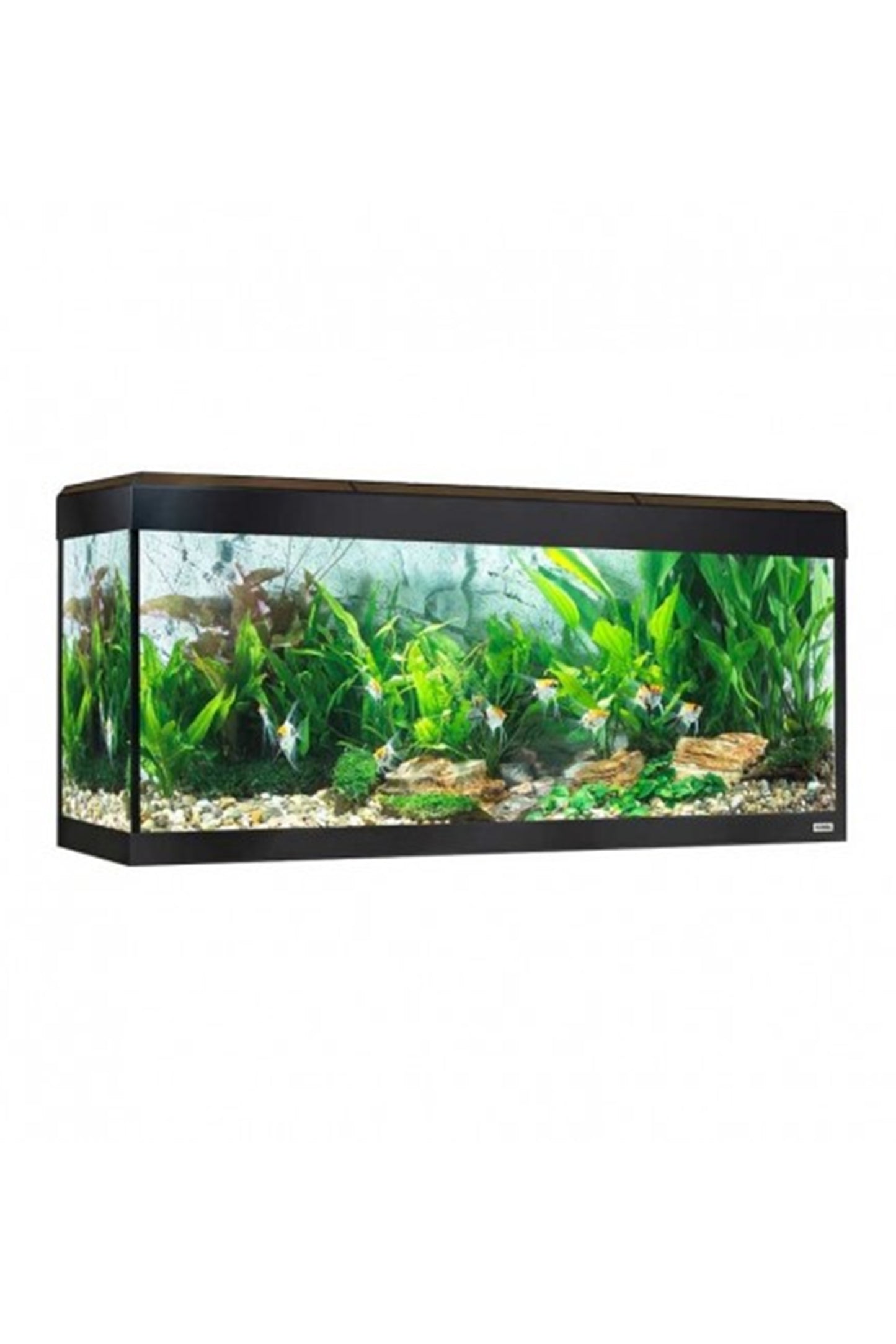 Roma LED Bluetooth Aquarium 200 Liter – Walnuss