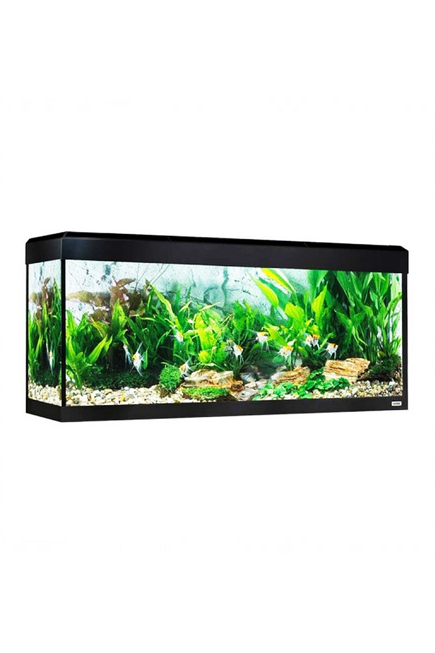 Roma LED Bluetooth Aquarium 200 Liter - Schwarz