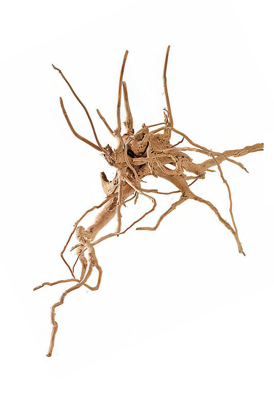 Hobby Dupla - 40481 Fingerwood M 30 - 40 cm