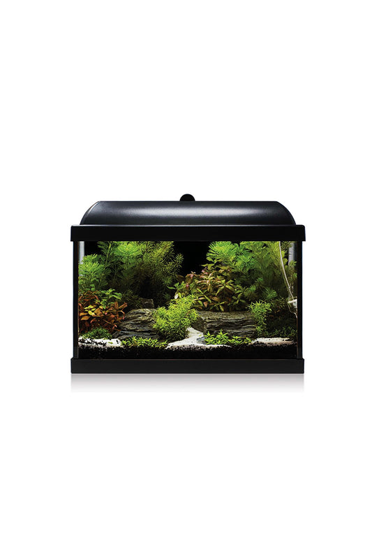 Acuario Kit AquaLED PRO 25 con Filtro Interior (25 litros) Negro
