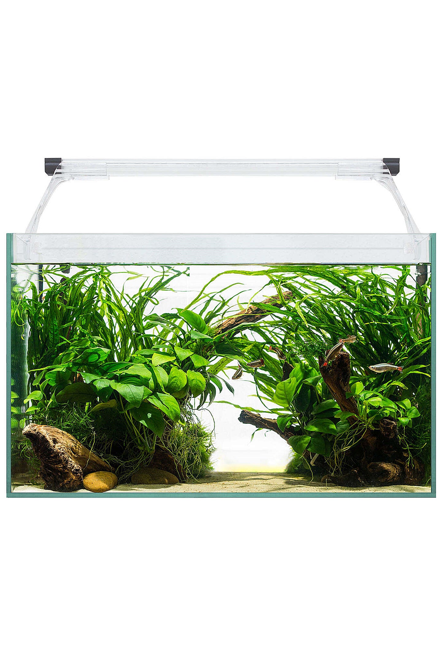 Acuario Kit AquaLight Glass 40 de 21 litros
