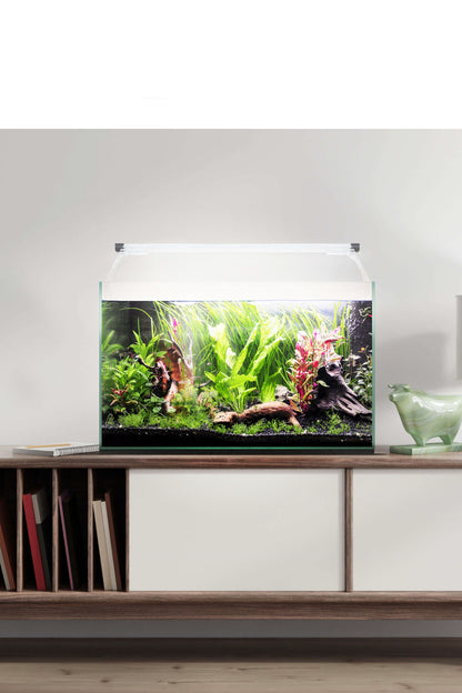 Acuario Kit AquaLight Glass 50 de 41 litros