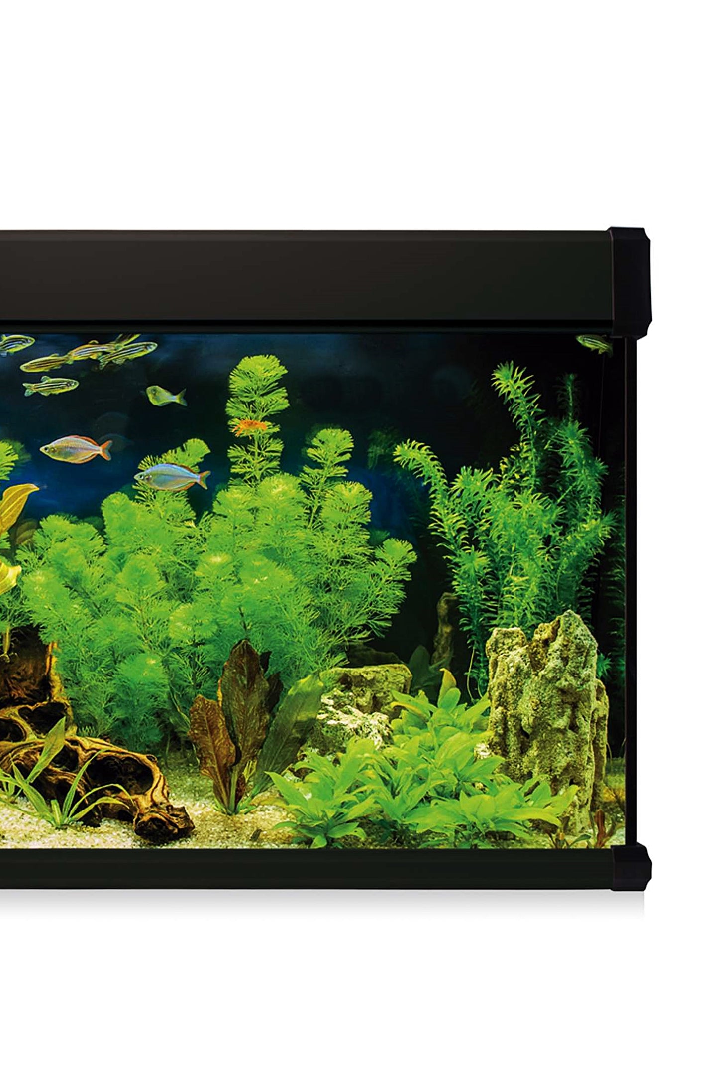 Kit AquaLUX PRO 130 - Acuario de 130 litros Negro