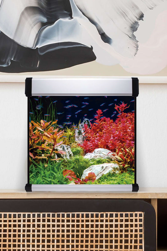 Kit AquaLUX PRO 190 - Acuario de 190 litros Negro