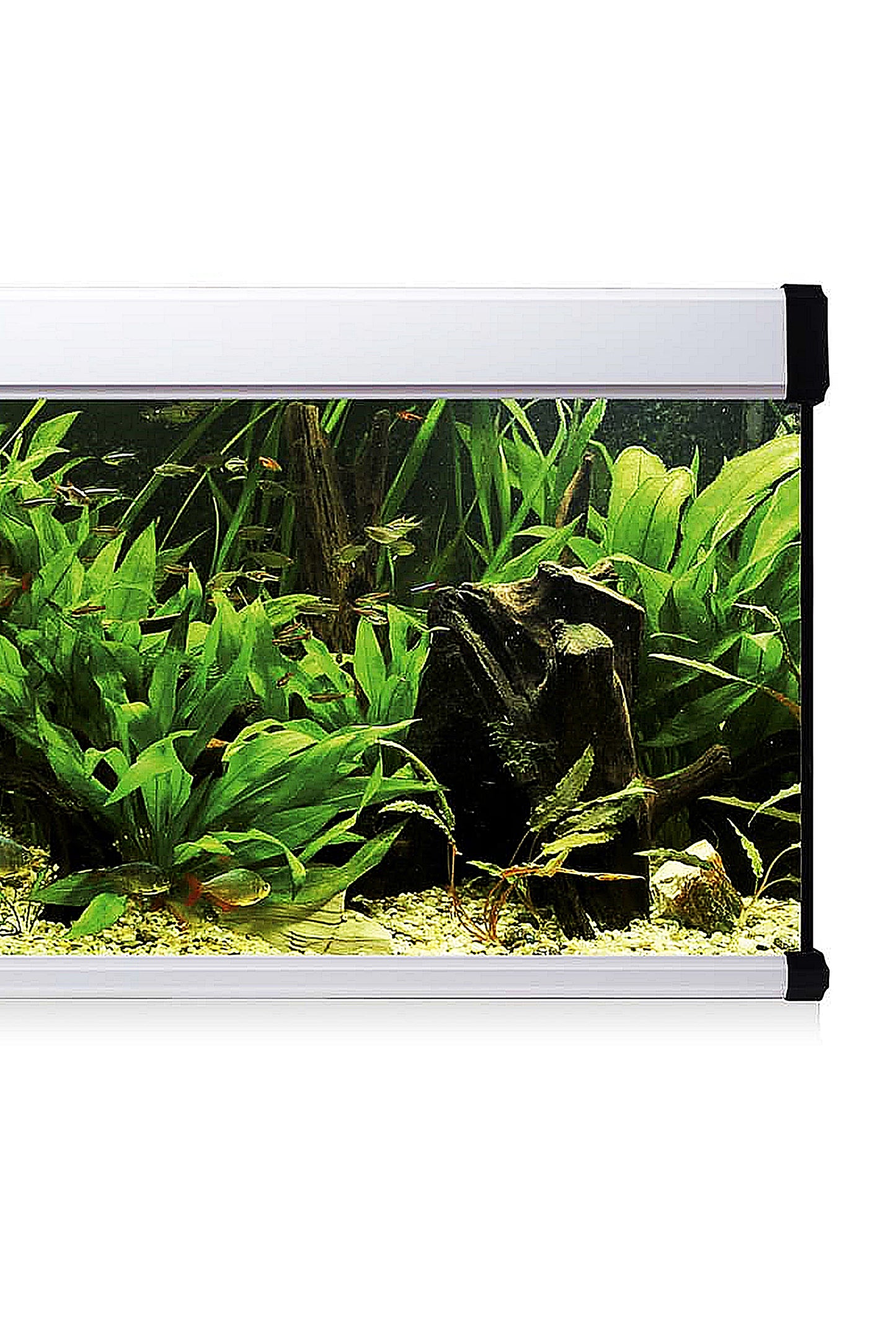 Kit AquaLUX PRO 200 - Acuario de 200 litros Blanco