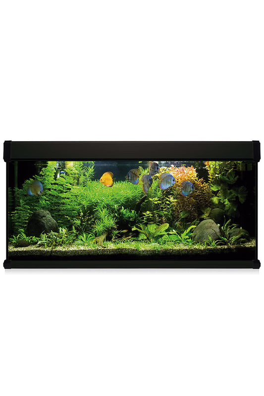 Kit AquaLUX PRO 240 - Acuario de 240 litros Negro