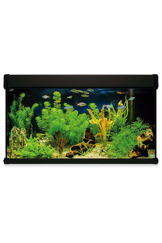 Kit AquaLUX PRO 300 - Acuario de 300 litros Negro