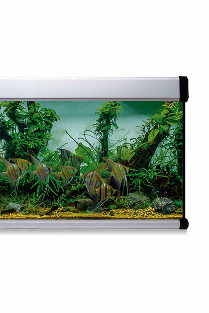 Kit AquaLUX PRO 450 - Acuario de 450 litros Blanco