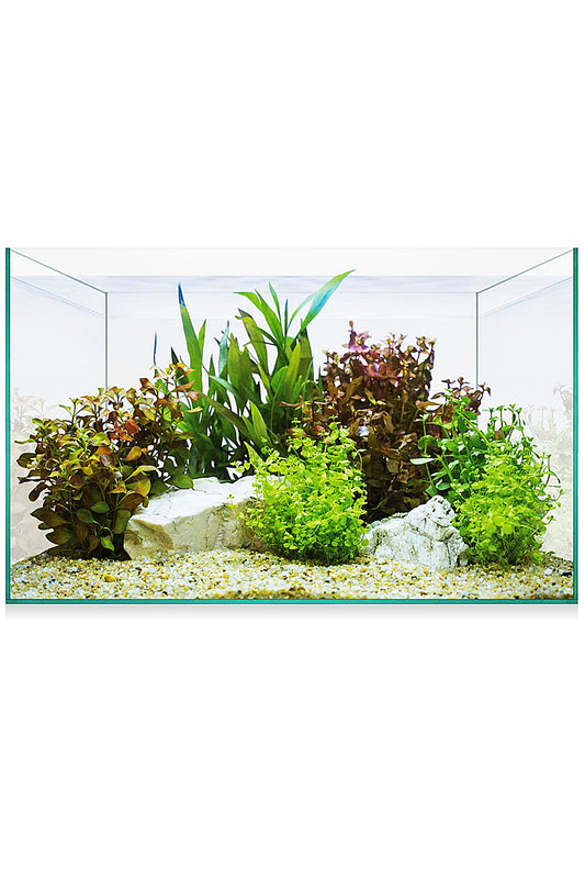 Urna de cristal AquaScape Basic 8 de 6,8 litros