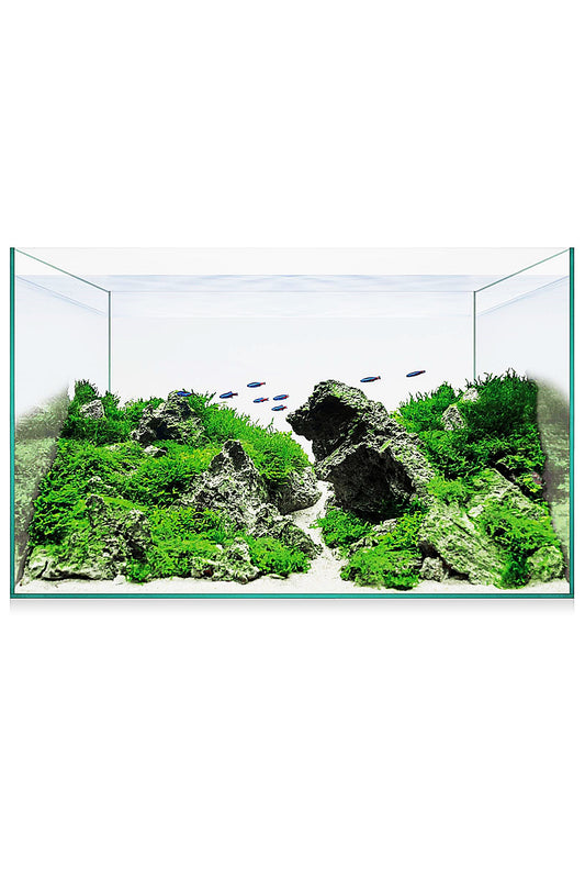 Urna de cristal AquaScape Basic 14 de 12,7 litros