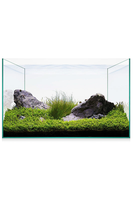 Urna de cristal AquaScape Basic 20 de 18 litros