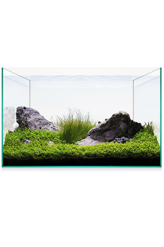 Acuario Kit AquaScape Basic 20 de 18 litros