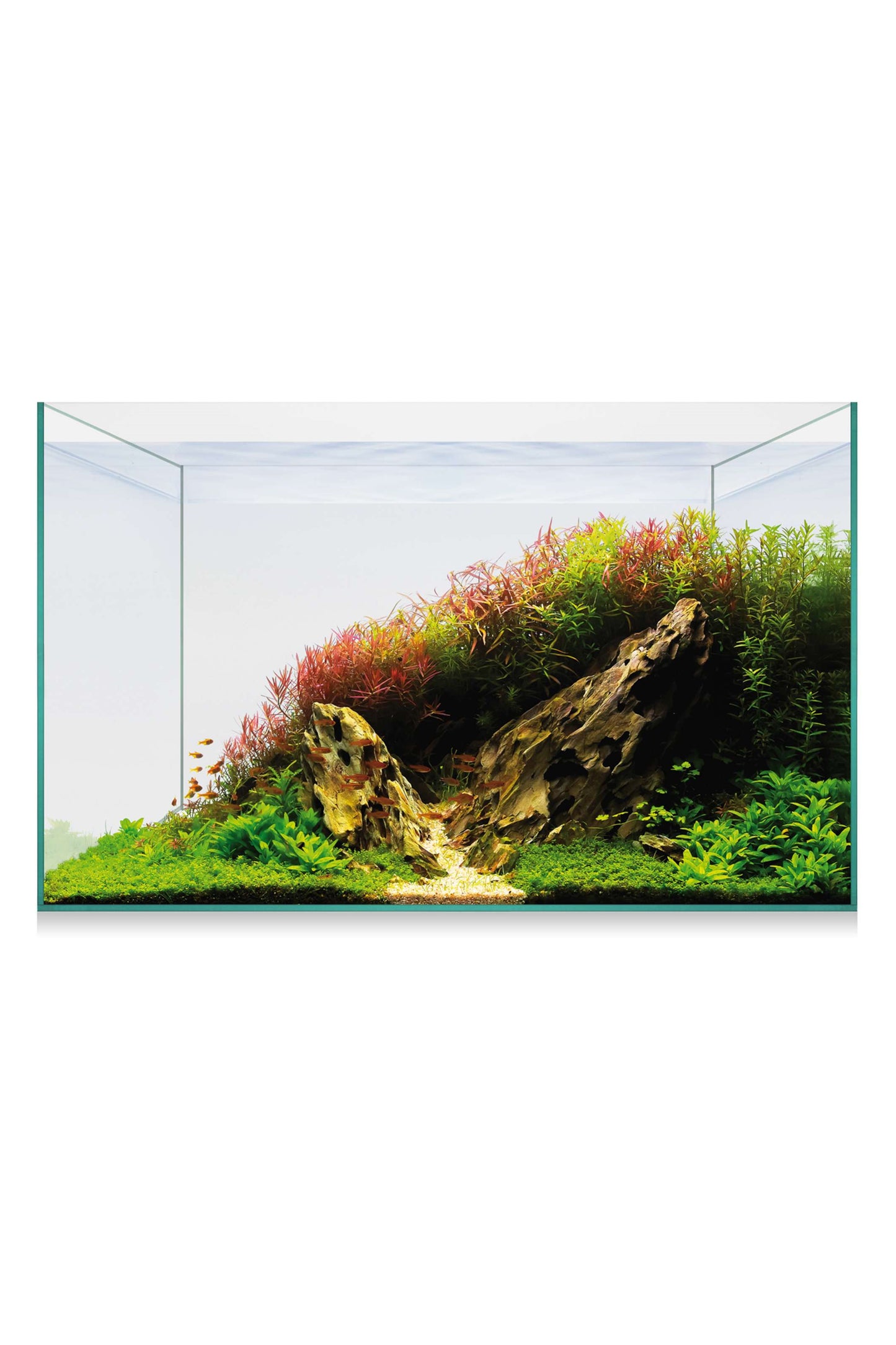 Acuario Kit AquaScape Basic 38 de 34,4 litros