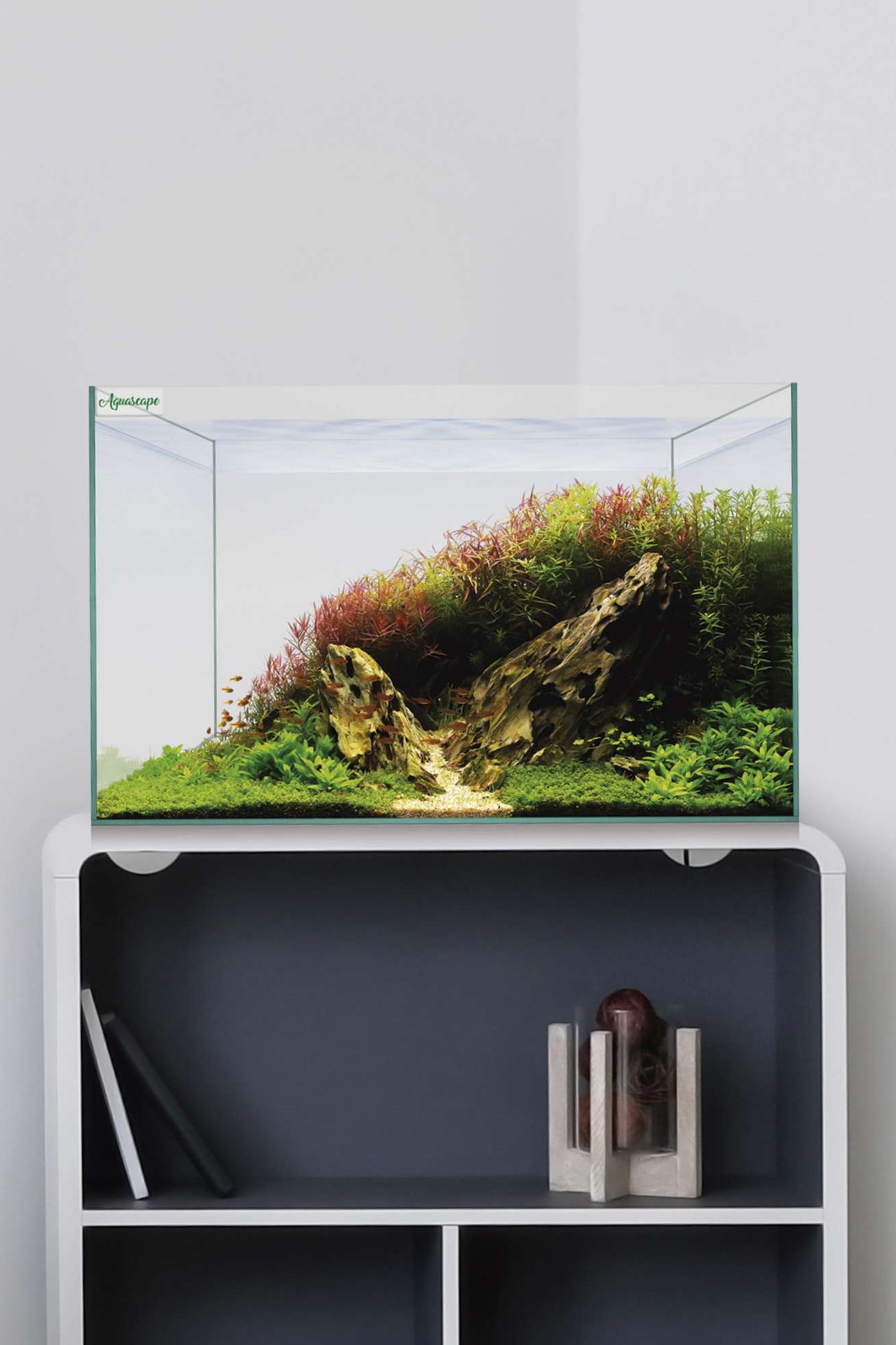 Acuario Kit AquaScape Basic 38 de 34,4 litros
